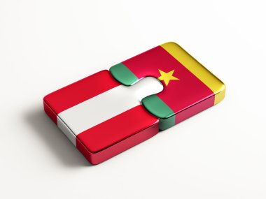 Ülke bulmaca kavramı