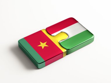 Ülke bulmaca kavramı