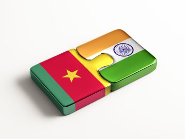 Ülke bulmaca kavramı