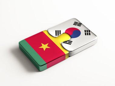 Ülke bulmaca kavramı