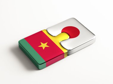 Ülke bulmaca kavramı