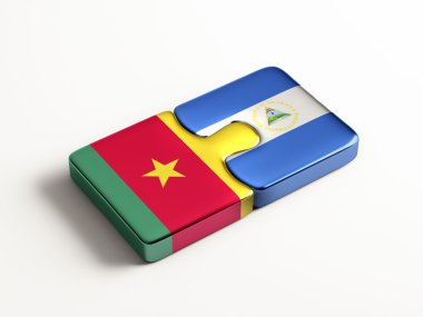 Ülke bulmaca kavramı