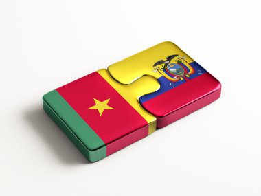 Ülke bulmaca kavramı