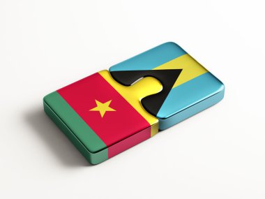 Ülke bulmaca kavramı