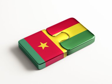 Ülke bulmaca kavramı