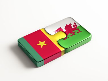 Ülke bulmaca kavramı