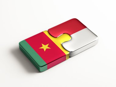 Ülke bulmaca kavramı