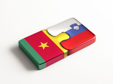 Ülke bulmaca kavramı