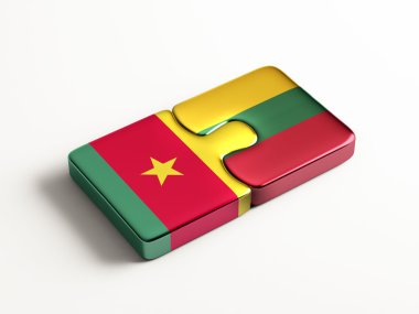 Ülke bulmaca kavramı