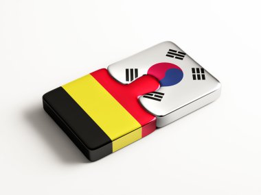 Ülke bulmaca kavramı