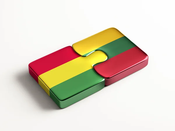 Lituânia Bolívia Puzzle Concept — Fotografia de Stock