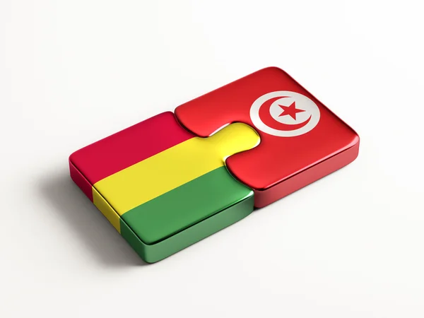 Tunisia Bolivia Concetto Puzzle — Foto Stock
