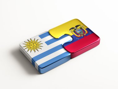 Ülke bulmaca kavramı