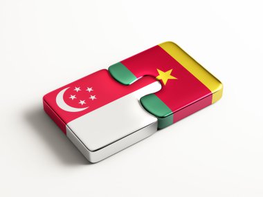 Ülke bulmaca kavramı