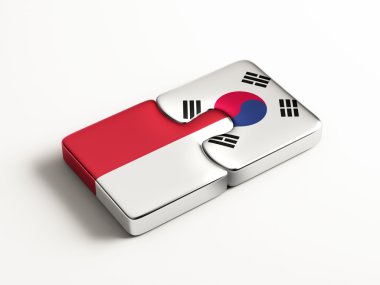 Ülke bulmaca kavramı