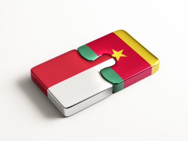 Ülke bulmaca kavramı