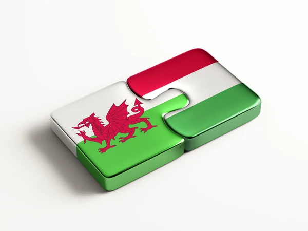 Wales Hongarije puzzel Concept — Stockfoto