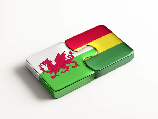 Wales Bolivia  Puzzle Concept — Stock Photo, Image