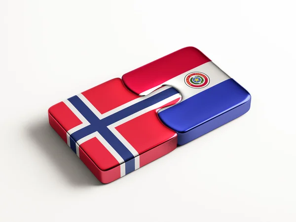 Paraguay Norwegen Puzzle-Konzept — Stockfoto