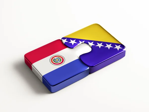 Paraguay Bosnia and Herzegovina Puzzle Concept — Stock Photo, Image