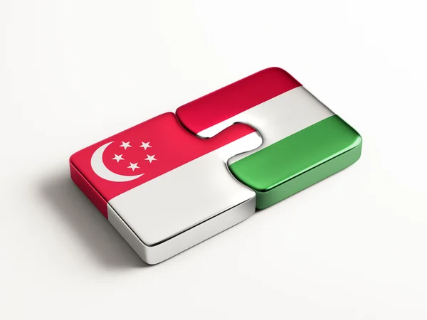 Singapore Hongarije puzzel Concept — Stockfoto