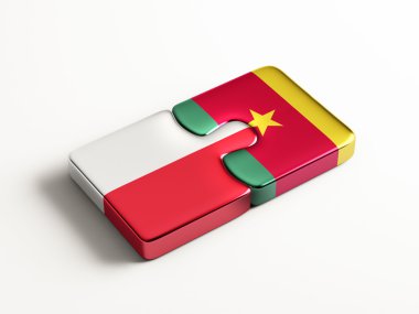 Ülke bulmaca kavramı