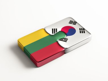 Ülke bulmaca kavramı