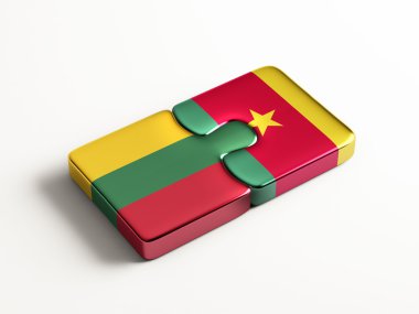 Ülke bulmaca kavramı