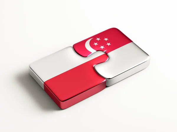 Polen Singapore puzzel Concept — Stockfoto