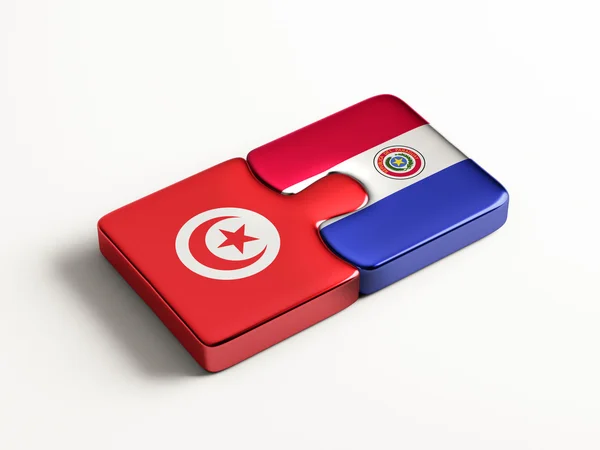 Concetto di Puzzle del Paraguay Tunisia — Foto Stock