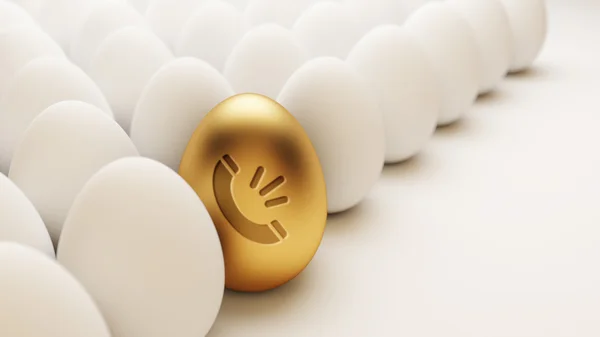 Ícone de casa de ovo — Fotografia de Stock