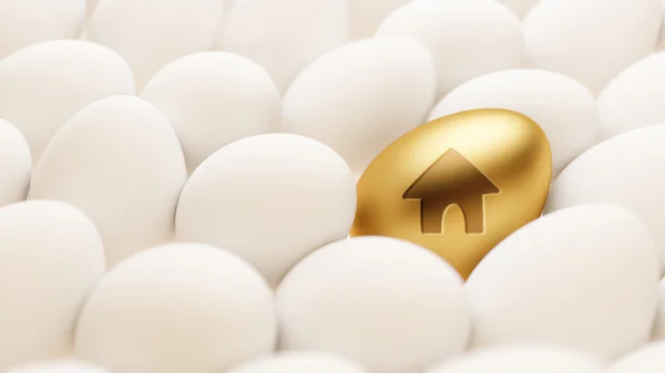 Egg Home Icon — Stock Photo, Image