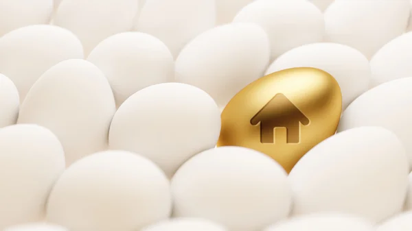 Icono de casa de huevo — Foto de Stock