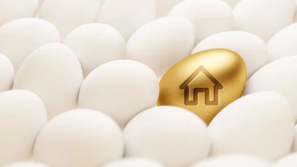 Egg Home Icon — Stock Photo, Image