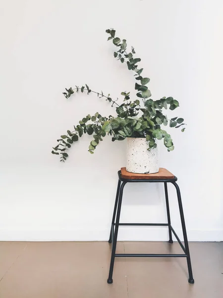 Dried eucalyptus bouquet on a wooden industrial stool against a white background. Popular interior design trend in 2020.
