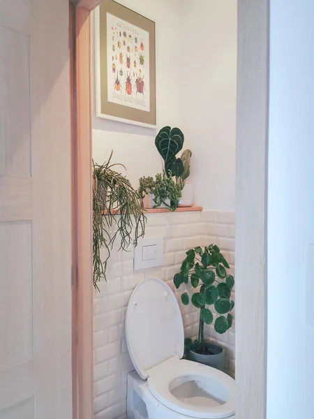 Malá Moderní Koupelna Více Rostlin Koncept Tropické Džungle — Stock fotografie