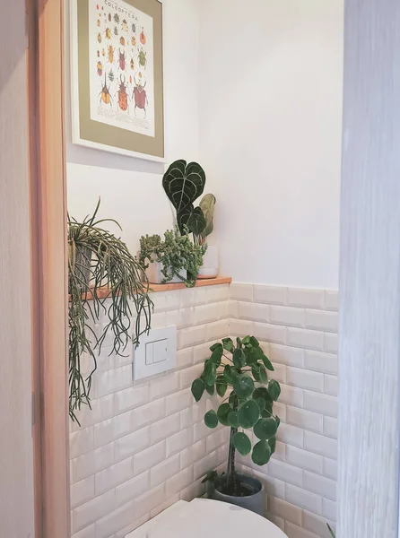 小的现代化浴室 有多种植物 热带丛林概念 — 图库照片