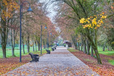 Sonbahar parkındaki ara sokak asfaltlı, yan tarafında fenerler ve banklar var. Sarı ve kırmızı yapraklı ağaçlar.