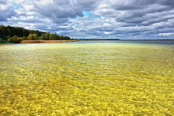 Lago Arenoso Raso Com Água Clara Floresta Costa Dia Nublado — Fotografia de Stock