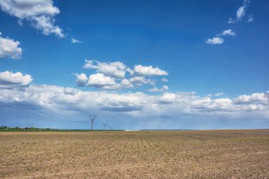 Kırsal alan - üzerinde bulutlar olan tarlalar..