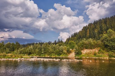 Kıyısında ağaçlar ve gök gürültülü bulutlar olan dağ nehri..