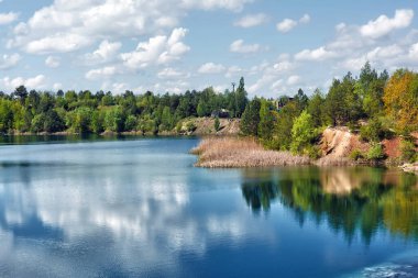Güneşli bir günde bir orman gölünün dik kıyısı.