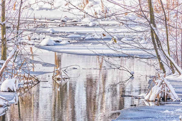 Зимний Пейзаж Речной Берег Деревьями Кустами Покрытыми Снегом Отражается Воде — стоковое фото