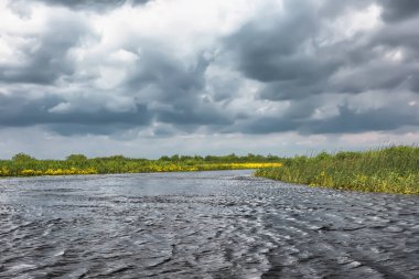 Sazlıklar ve ağaçlarla nehir kıyısında fırtına bulutları.