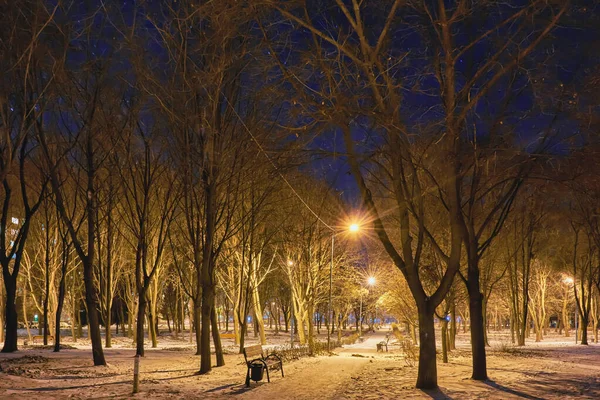 Evening Winter Covered Snow Park — Stock Photo, Image