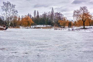 Kış manzarası - ağaçlarla ve çalılarla kaplı nehir kıyısı.