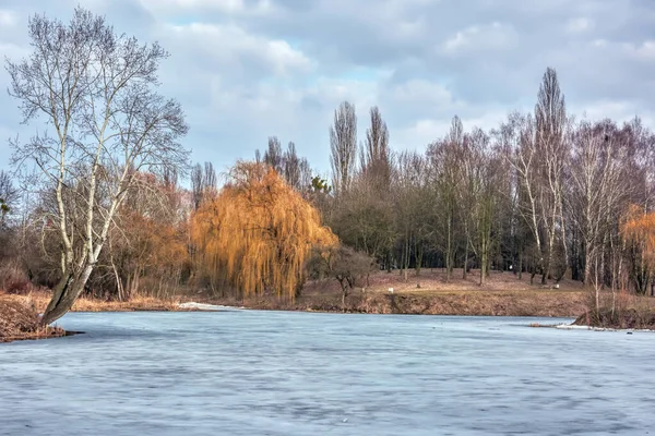 Wiosenny Krajobraz Rzeka Pokryta Jest Lodem Drzewami Krzewami Brzegu — Zdjęcie stockowe