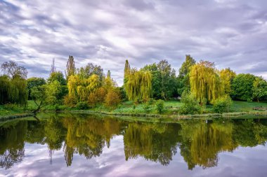 Küçük bir nehrin kıyısı gün doğumunda çalılarla ve ağaçlarla kaplıdır..