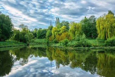Küçük bir nehrin kıyısı gün doğumunda çalılarla ve ağaçlarla kaplıdır..