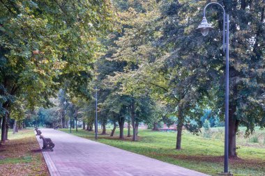 Parktaki sokaklar ağaçların arasında asfalt ve fenerlerle kaplı..